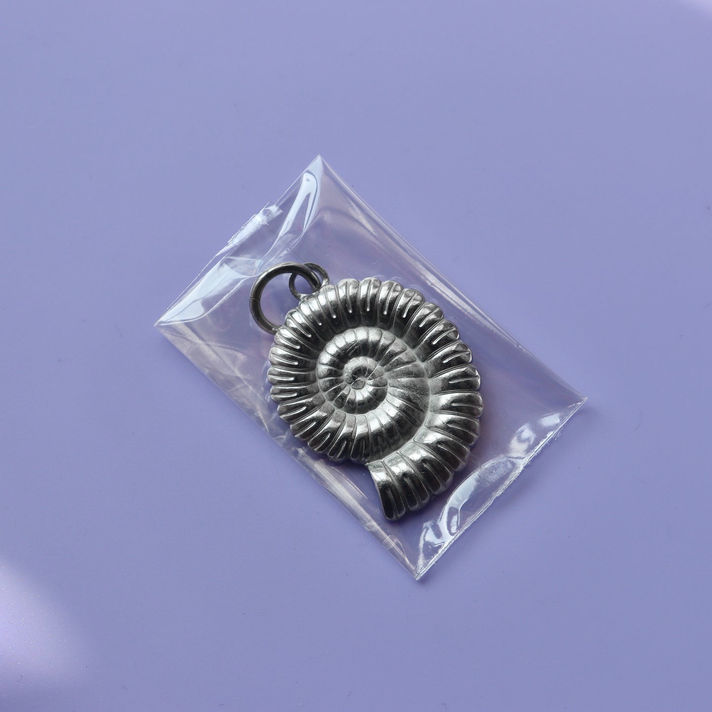 Ammonite Hooper