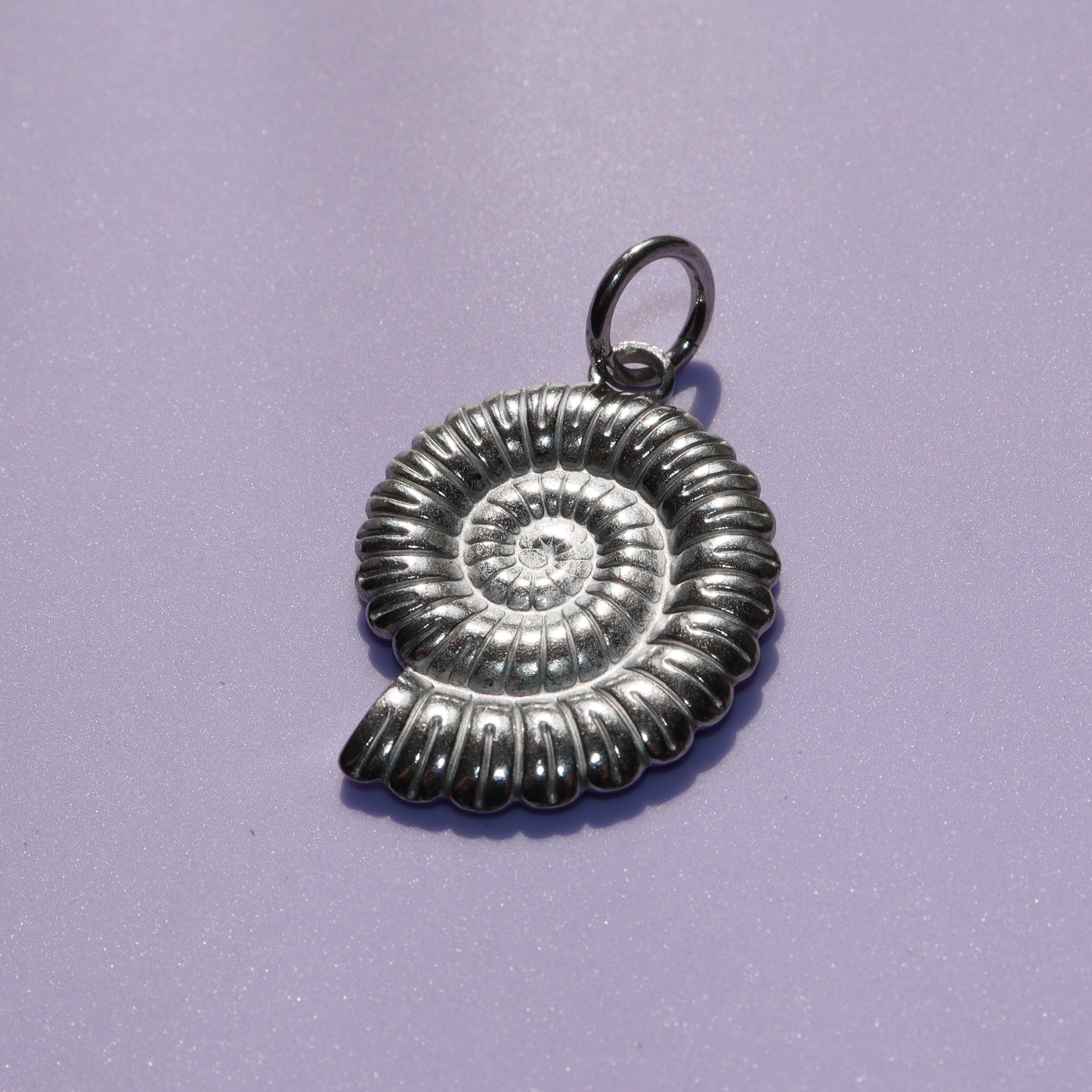 Ammonite Hooper