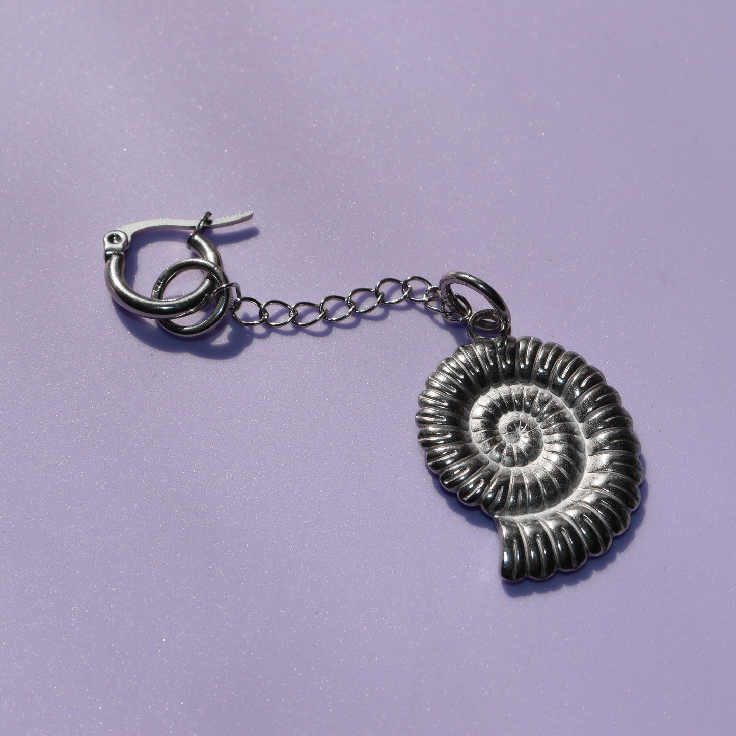 Ammonite Hooper