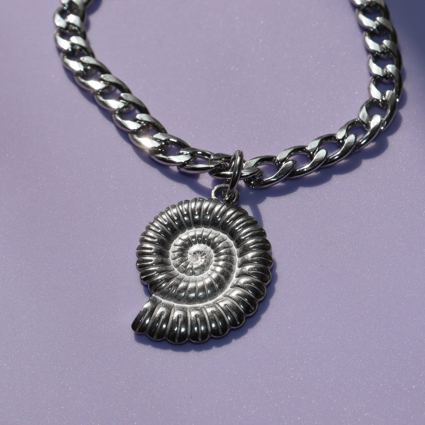 Ammonite Hooper
