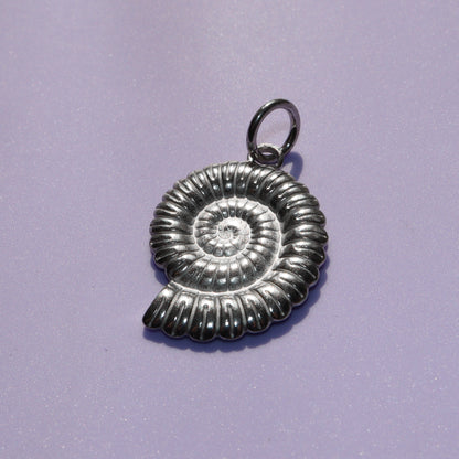Ammonite Hooper