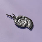 Ammonite Hooper