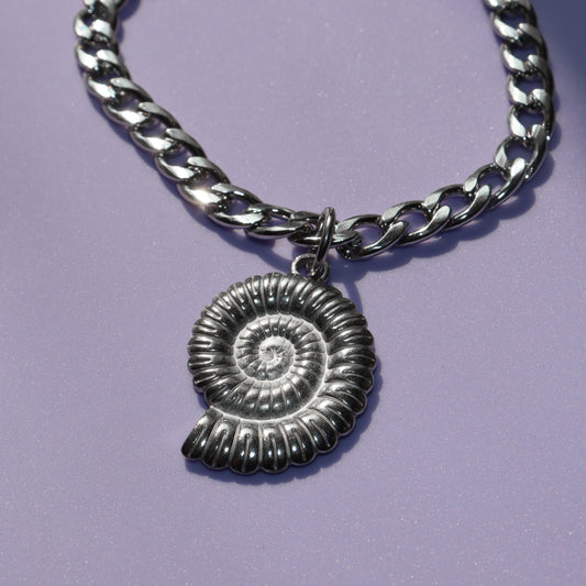 Ammonite Hooper
